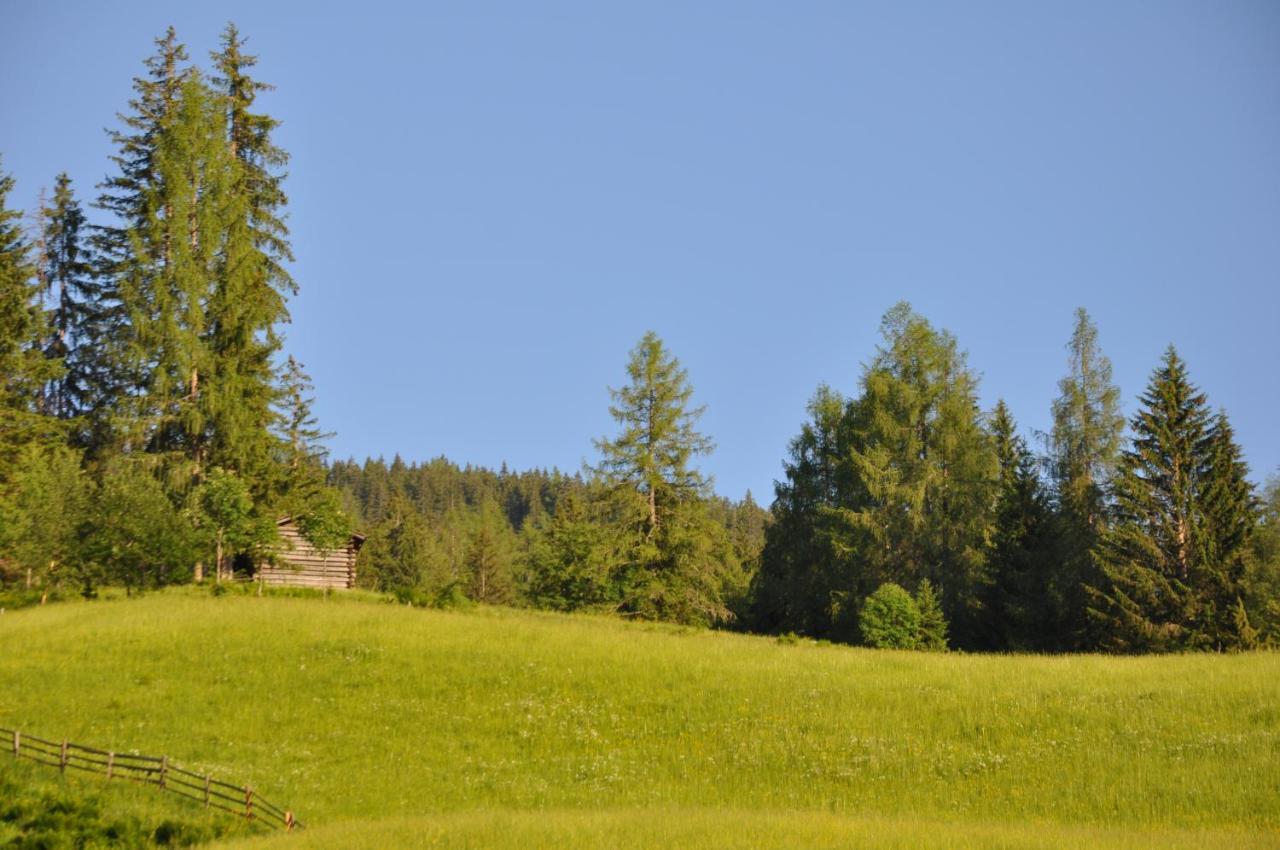 Das "Zwislegggut" Wagrain Luaran gambar